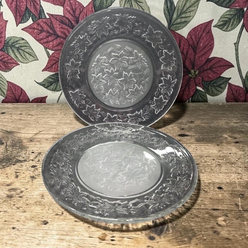Princess House Fantasia Dinner Plates, Set Of 2, Vtg Frosted Center Dinnerware
